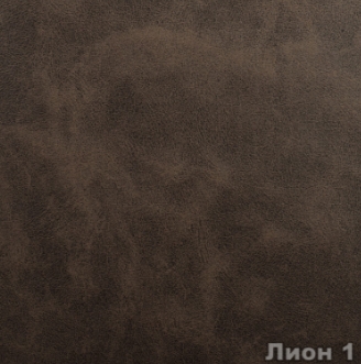 Лион 1