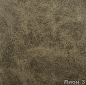 Лион 3