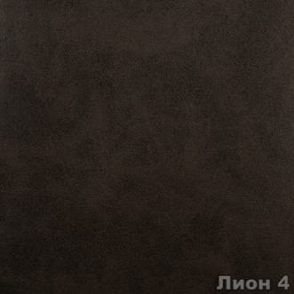 Лион 4
