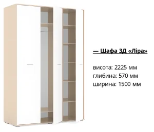 Шкаф 3Д «Лира»