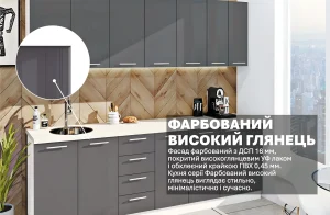 Современная кухня в графитовом цвете с фасадами высокого глянца, оборудованная мойкой и навесными шкафами.