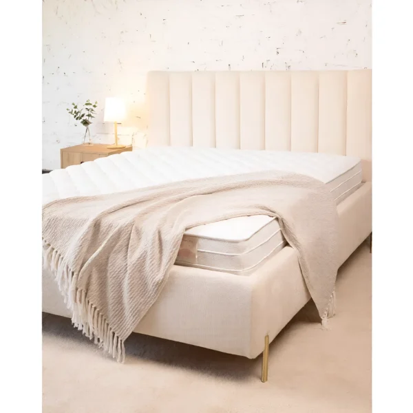 Caochu Twin Mattress